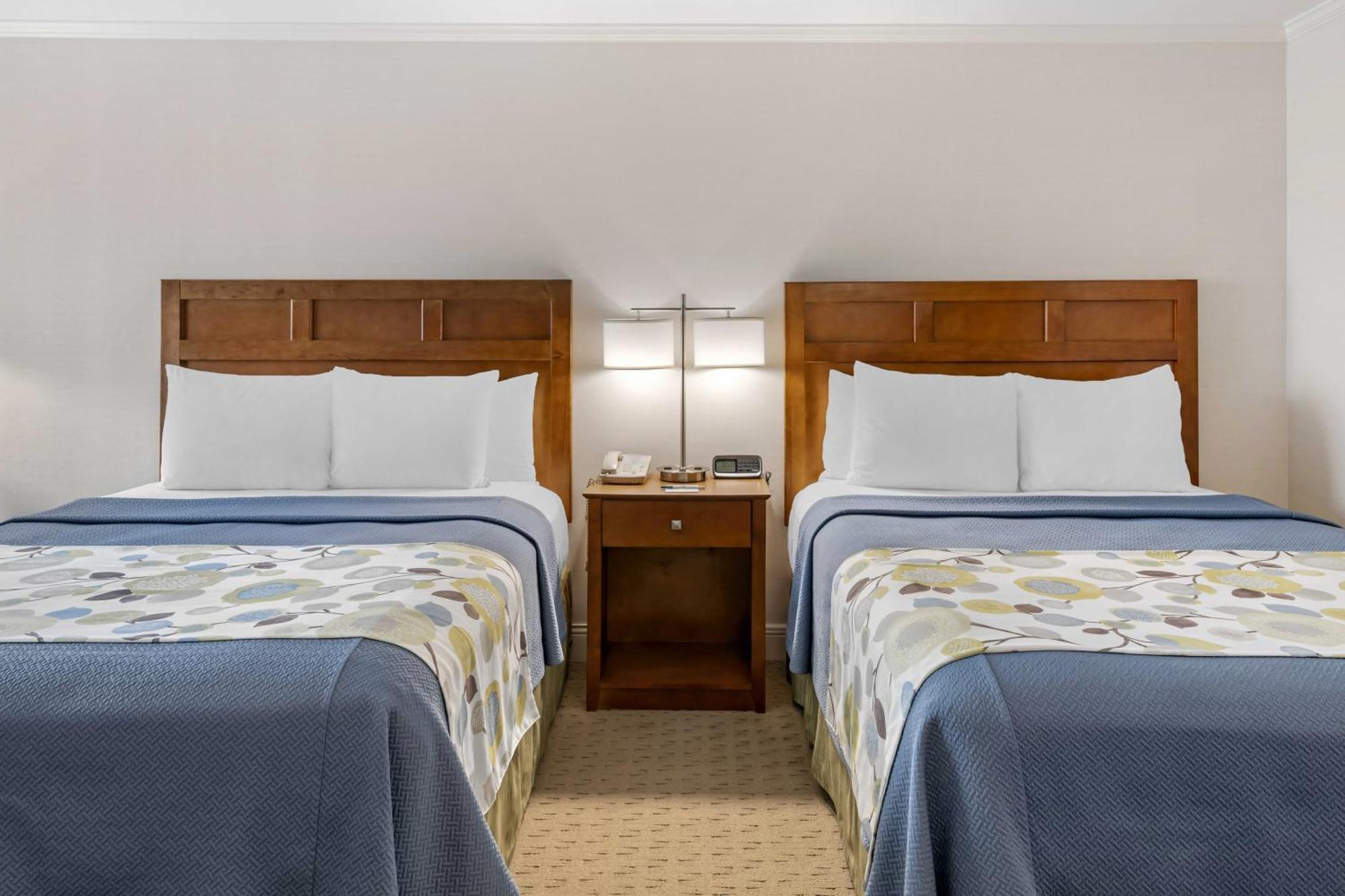 אוגונקוויט Juniper Hill Inn מראה חיצוני תמונה